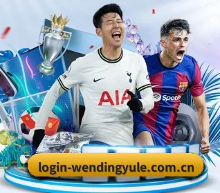 问鼎娱乐网站 APP（Wending Entertainment）